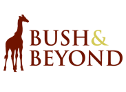 Bush and Beyond